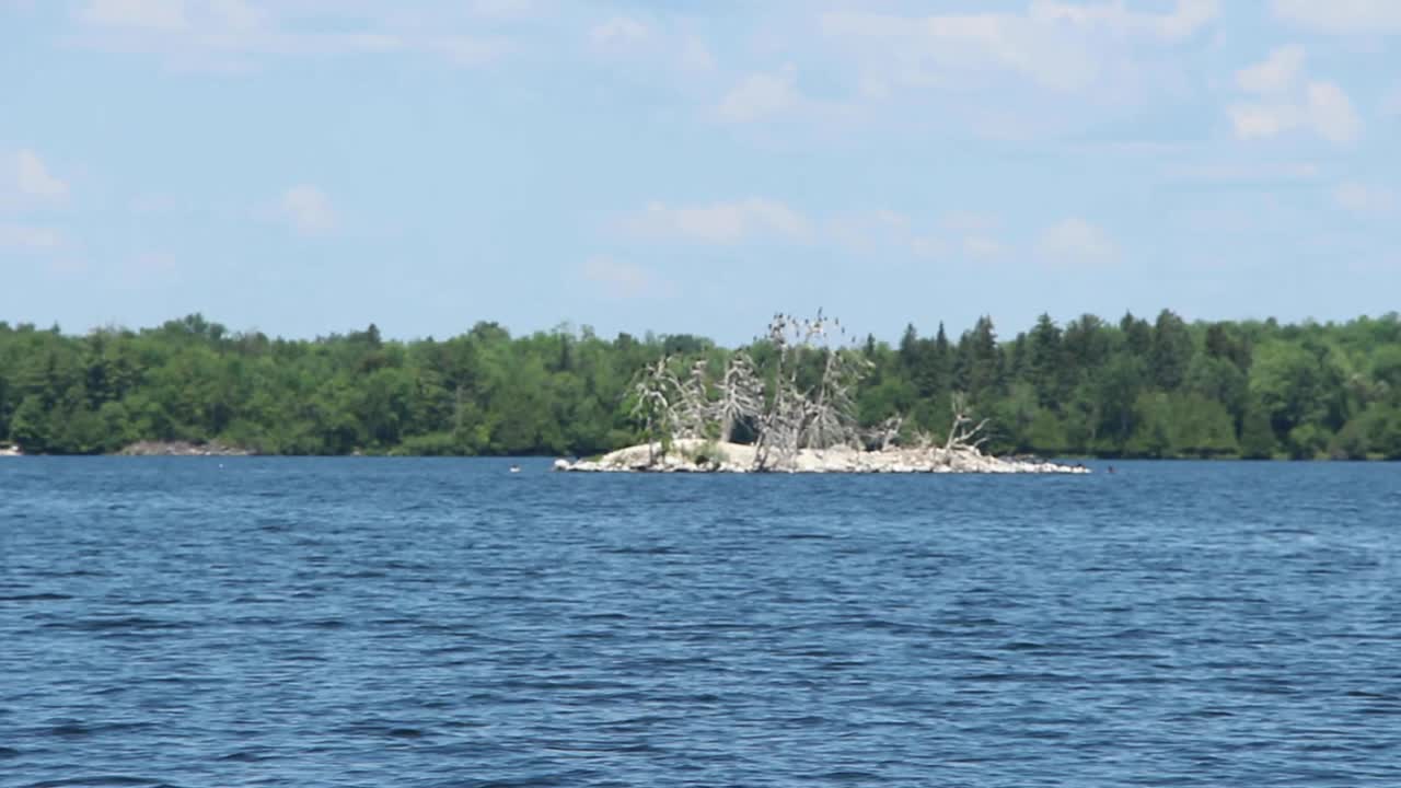 Serene Water With Green Forest On The Background In Kawartha Lakes, Ontario, Canada. - wide shot