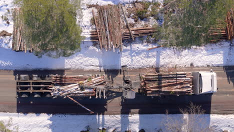 camiones cargadores de troncos cargan troncos de árboles cortados de terrenos nevados en el remolque