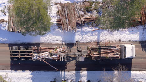 truck log loader loads cut tree logs from snowy terrain onto trailer