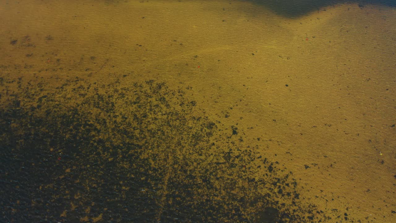 Dark seaweed patches cover parts of a sandy seabed underwater, creating natural textures in shallow coastal waters with light reflections