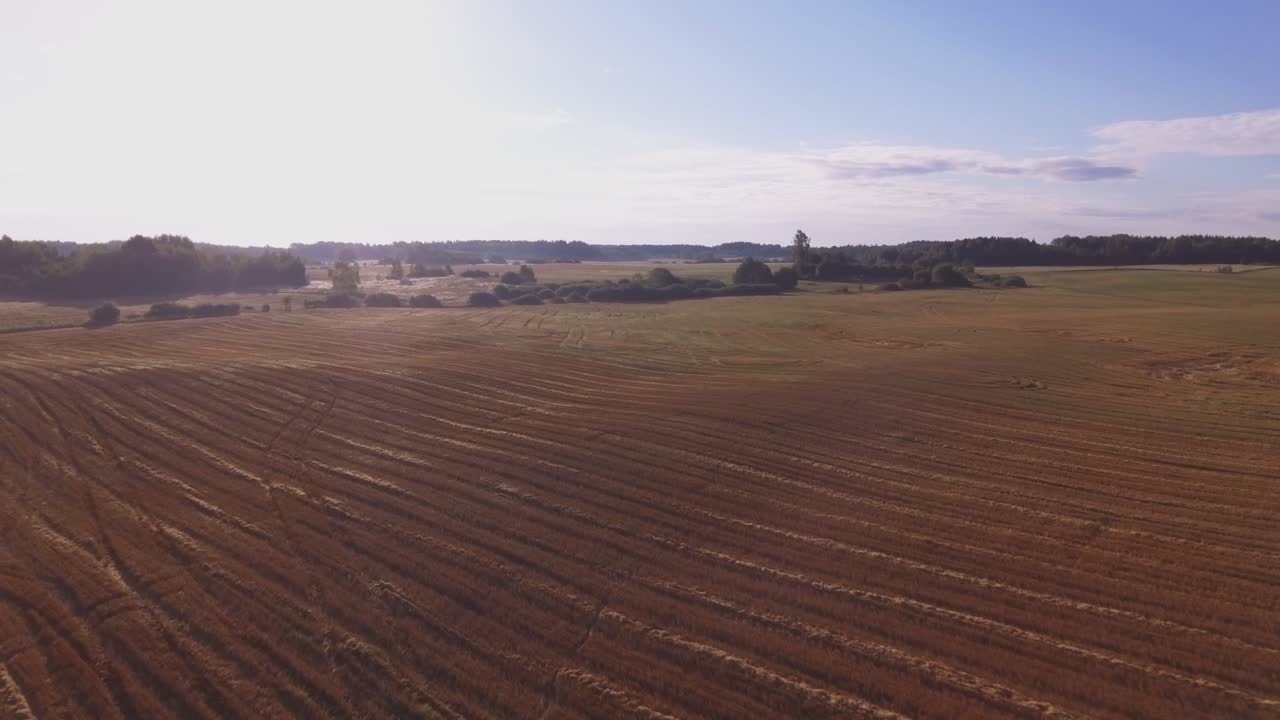 Abgeerntete Felder an einem sonnigen Sommermorgen