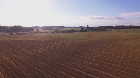 Campos-Cosechados-En-Una-Soleada-Mañana-De-Verano