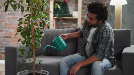 black man waters ficus tree sitting on sofa in living room