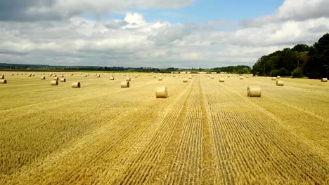 hay bales on the field