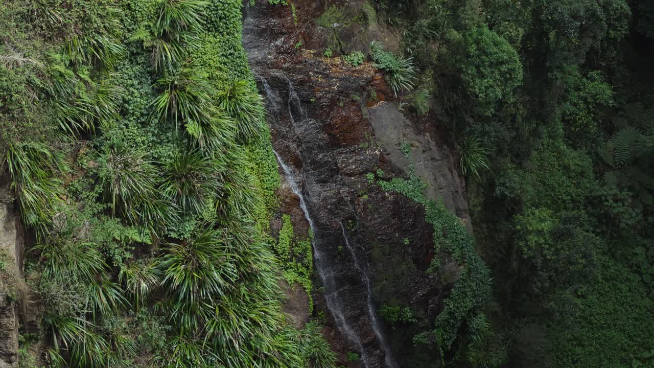 una cascada que desciende por un acantilado verde y exuberante