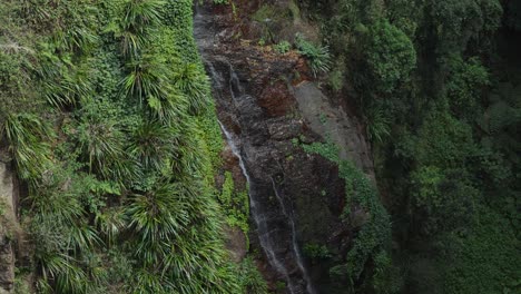 waterfall cascading down lush green cliff