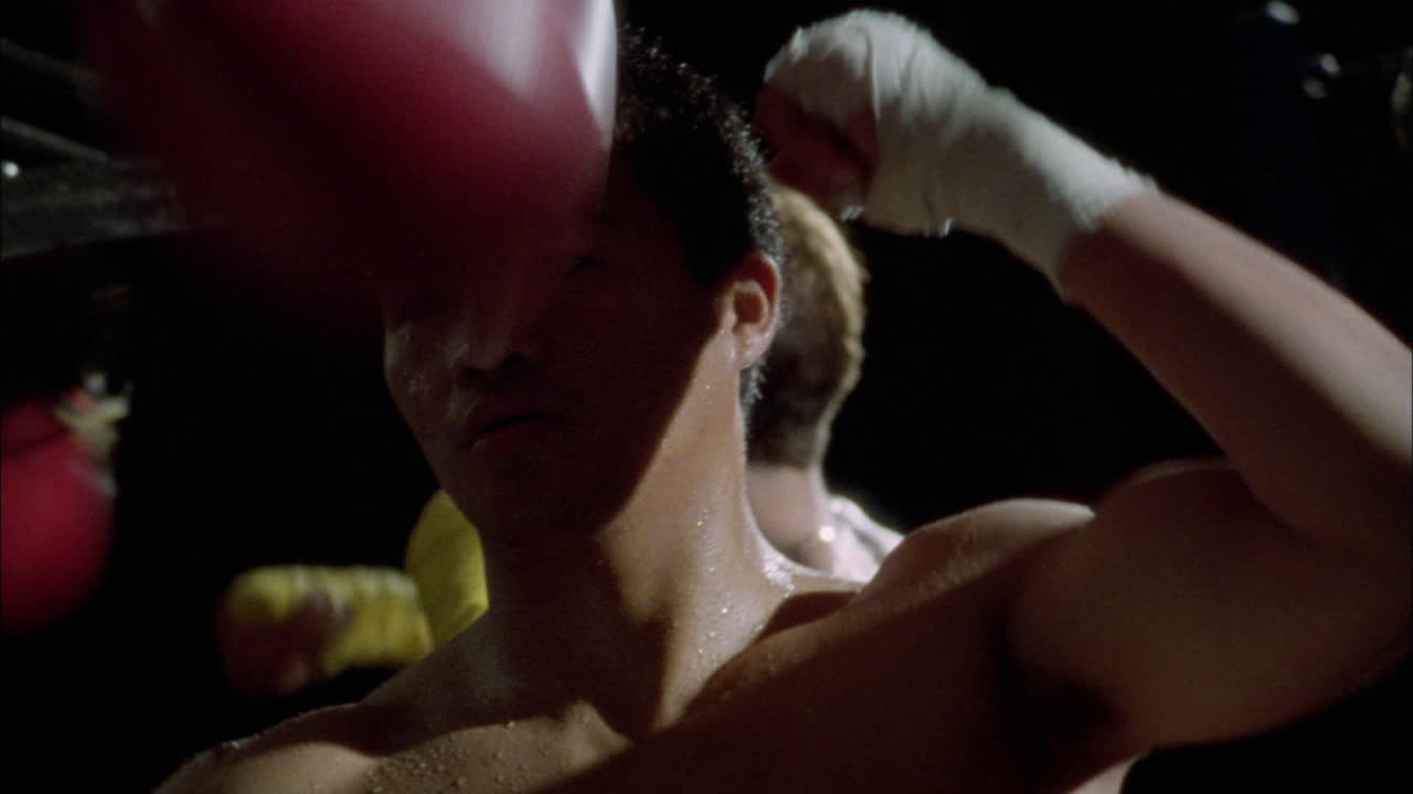 체육관에서 두 권투 선수 펀치 스피드 백