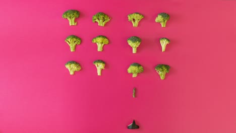 animation with fresh green broccoli