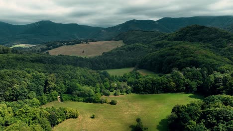 Hermosa-Vista-Aérea-Del-Paisaje-En-Un-Vasto-Bosque-Con-Prados