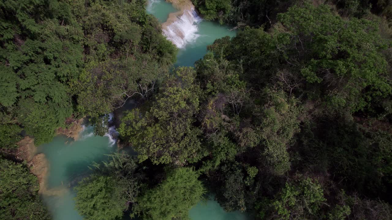 Fiume blu nella giungla del Chiapas, Messico, ripresa drone dallo zenit con inclinazione verso l'alto
