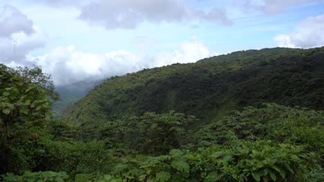 a beautiful view from the top of the monteverde mountain in costa rica