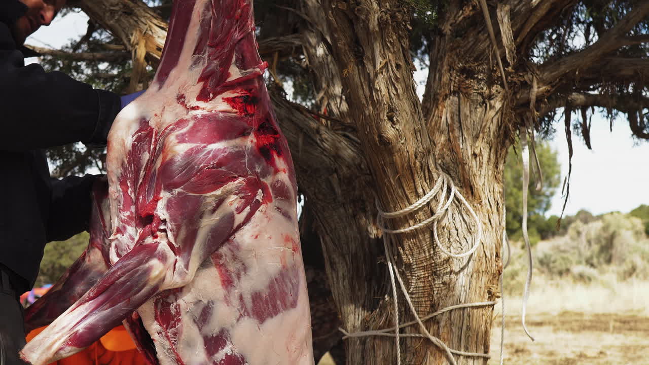 men are butchering a deer carcass with knives.