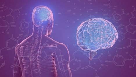 animación de la fórmula química sobre el humano digital y el cerebro