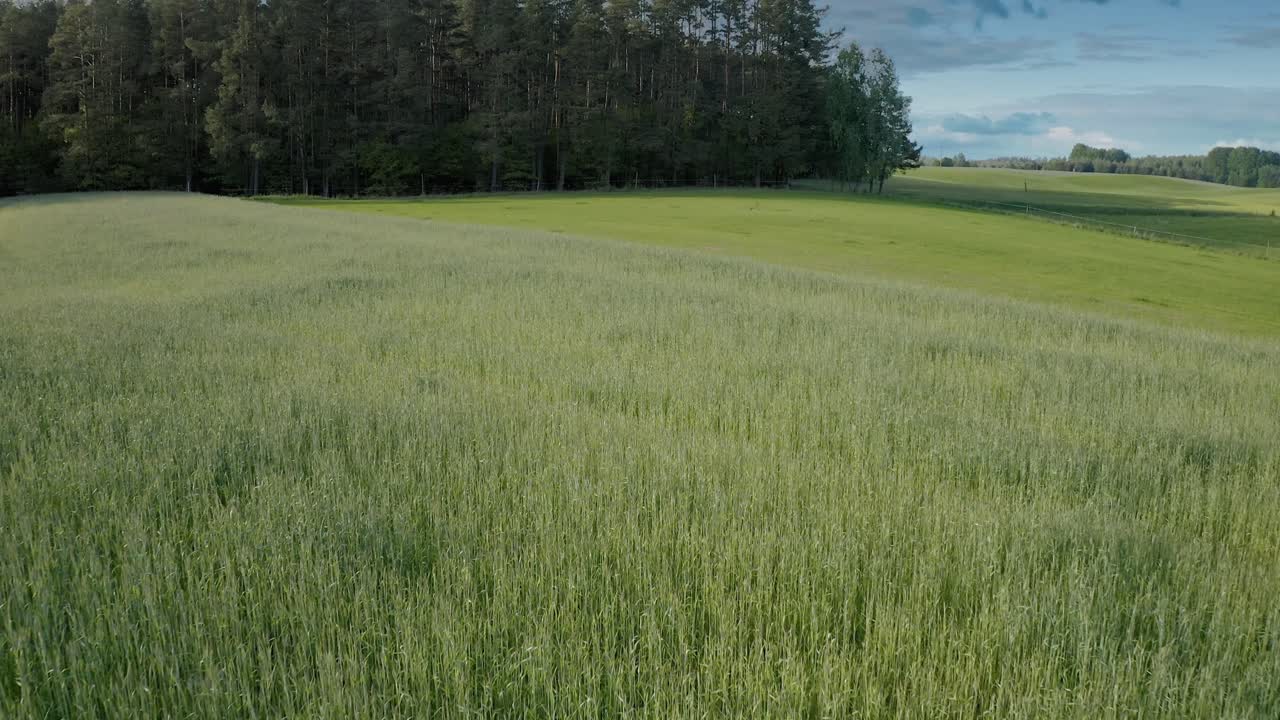 폴란드 와르미아 의 경치 좋은 시골 들 위 를 날아다니는 - 드론 촬영