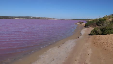 hutt lagoon pink lake, kalbarri, western australia - salt lake