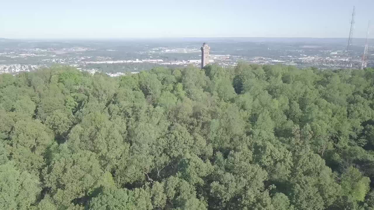 나무 사이에 있는 석탑의 넓은 전망