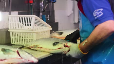 worker cleaning fish at queen victoria market