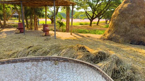 rice drying and storage in rural thailand