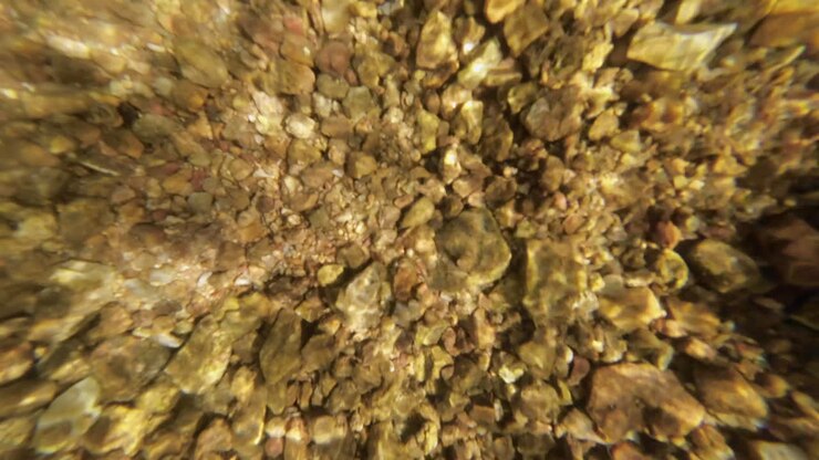 Underwater view of rocks in a clear fresh water stream