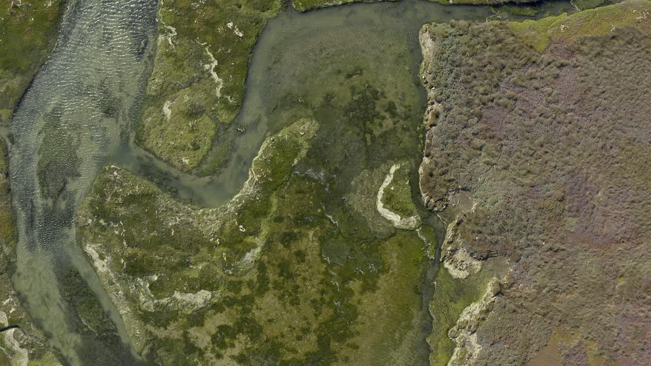 la naturaleza es arte puro.