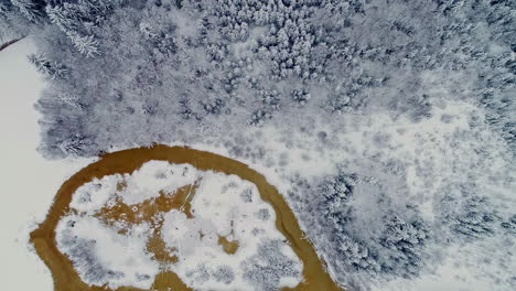 aerial top down shot of yellow colored lake surrounded by white snow-covered forest trees and landscape