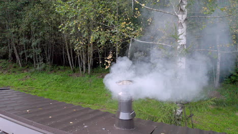 humo de la chimenea de la sauna