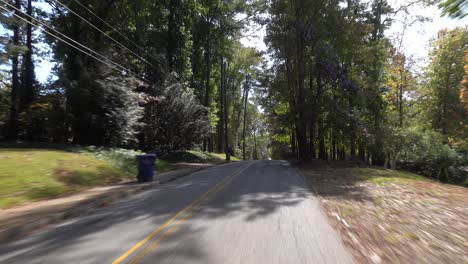 suroeste, atlanta, calle trasera, árboles, camino largo, medio día, unidad, paseo, paisaje, crucero, ciudad, tráfico, automóviles, estacionamiento, vecindario