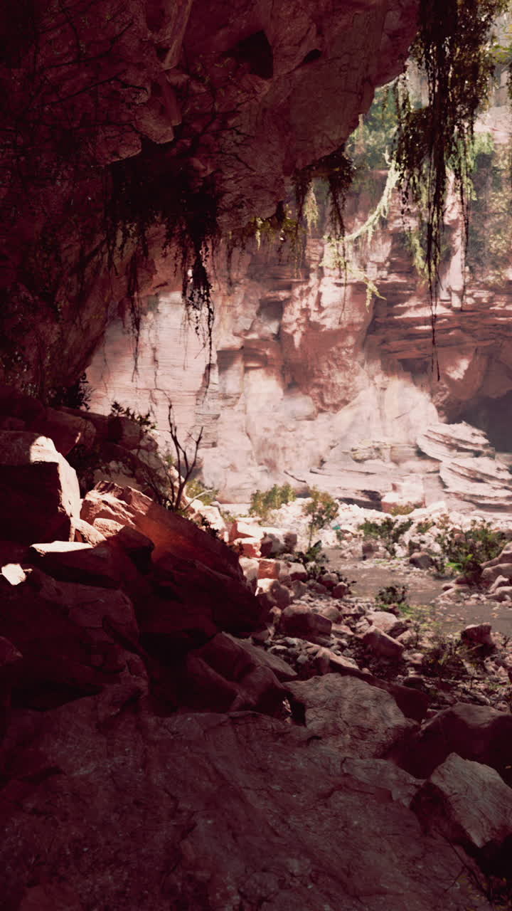 una vista de una cueva con rocas y vegetación