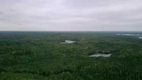 Panoramaaufnahmen-Aus-Der-Luft-über-Grünen-Wald-Von-Dort-Zur-Skyline