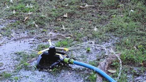 a sprinkler attached to a blue hose waters a grassy area, creating a wet and saturated environment.