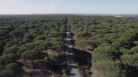 Aerial-view-motorhome-campervan-driving-narrow-road-through-woodland-trees-in-rural-countryside-road-trip,-Spain