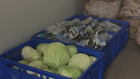 close up footage of cabbages in the rack ready to be covered by paper to keep its freshness on the way to the delivery