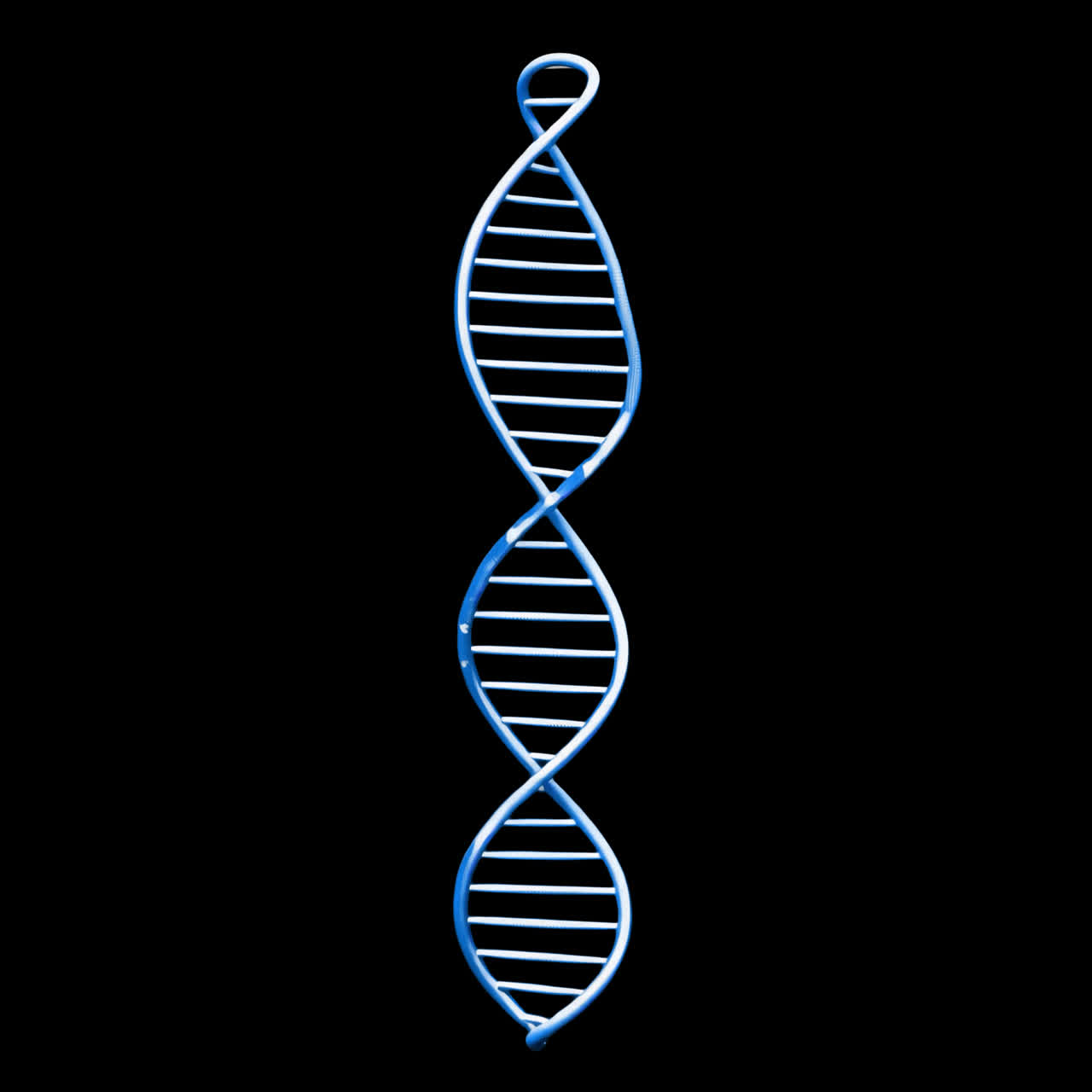 Risorsa isolata animata di struttura a elica di DNA blu, video 4K trasparente, canale alfa, ProRes 4444