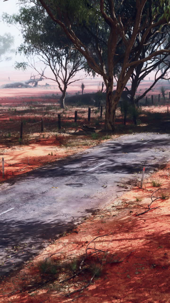 Strada di campagna solitaria