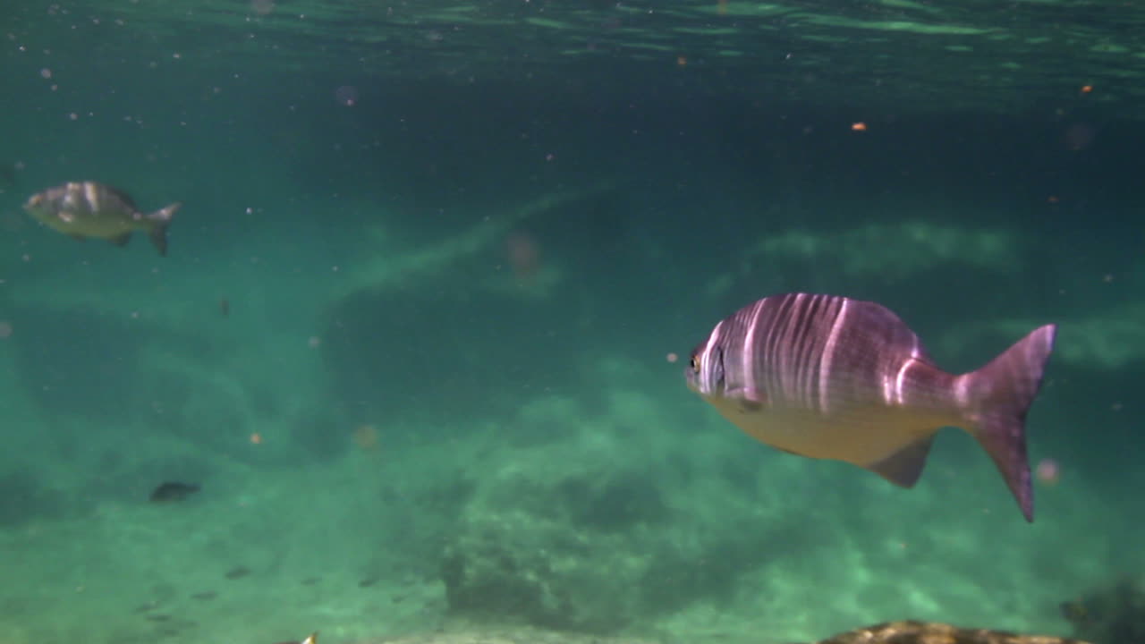 parque de snorkel 05