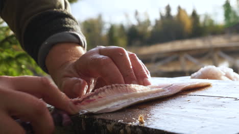 Preparación-De-Comida-Agraria-Al-Aire-Libre,-Hombre-Cortando-Filetes-De-Pescado-Con-Cuchillo-En-Tabla-De-Cortar-De-Madera,-Cámara-Lenta