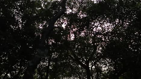 sol brillante. tiro en bisle ghat ka india