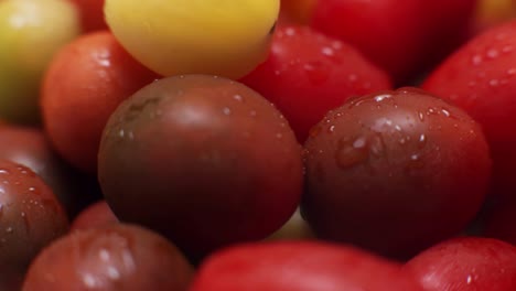 medley of heirloom grape cherry tomatoes.