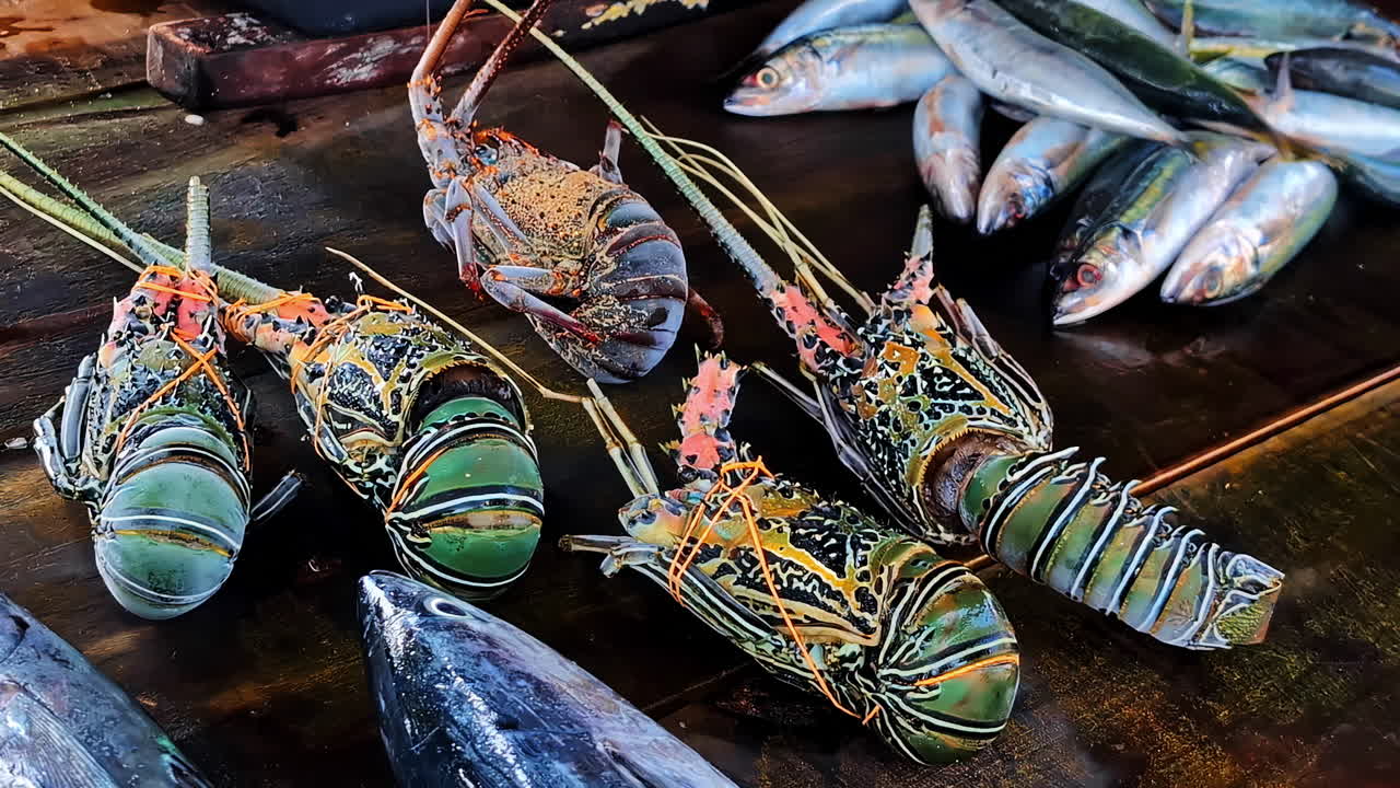 Fresh seafood displayed in Weligama, featuring lobsters and fish