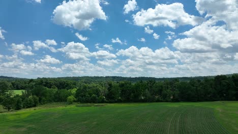 An-aerial-view-over-the-lush-green-farmland-in-southern-Lancaster-County,-Pennsylvania-on-a-sunny-summer-day