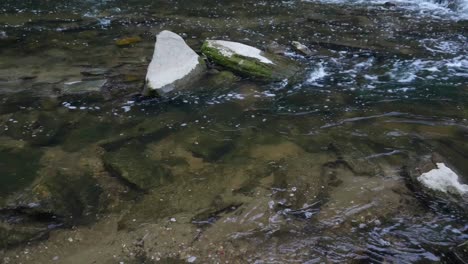 El-Agua-Fluye-Sobre-Piedras-En-Wissahickon-Creek