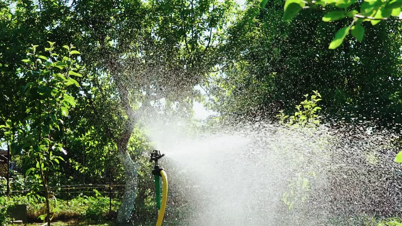 Water sprinkler. Automatic irrigation system for plants and lawns. Slow motion.