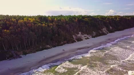 árboles-De-Otoño-Y-Tiro-De-Drone-De-Playa-De-Arena