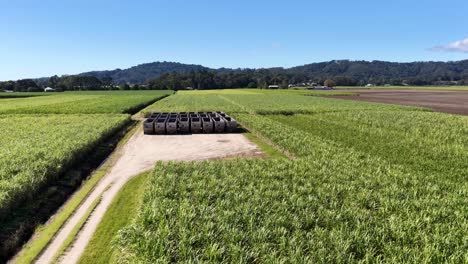 drone footage captures sugarcane fields and rail cars under clear skies, showcasing agricultural landscapes and transport infrastructure