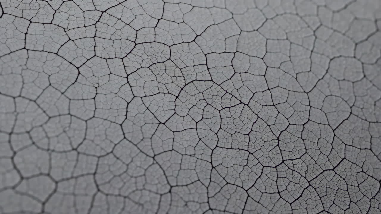 Abstract Close-up of a Cracked Grey Surface
