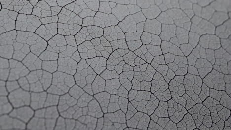 Abstract Close-up of a Cracked Grey Surface