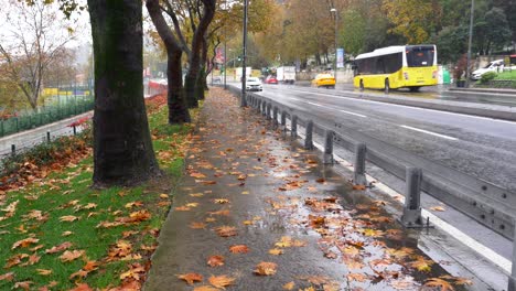 rainy fall day on city street