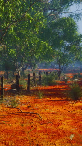 red dirt path in a green forest