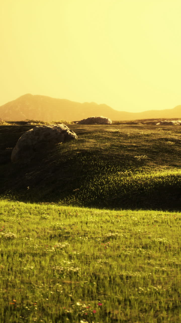 잔디 위 에 해가 지는 것