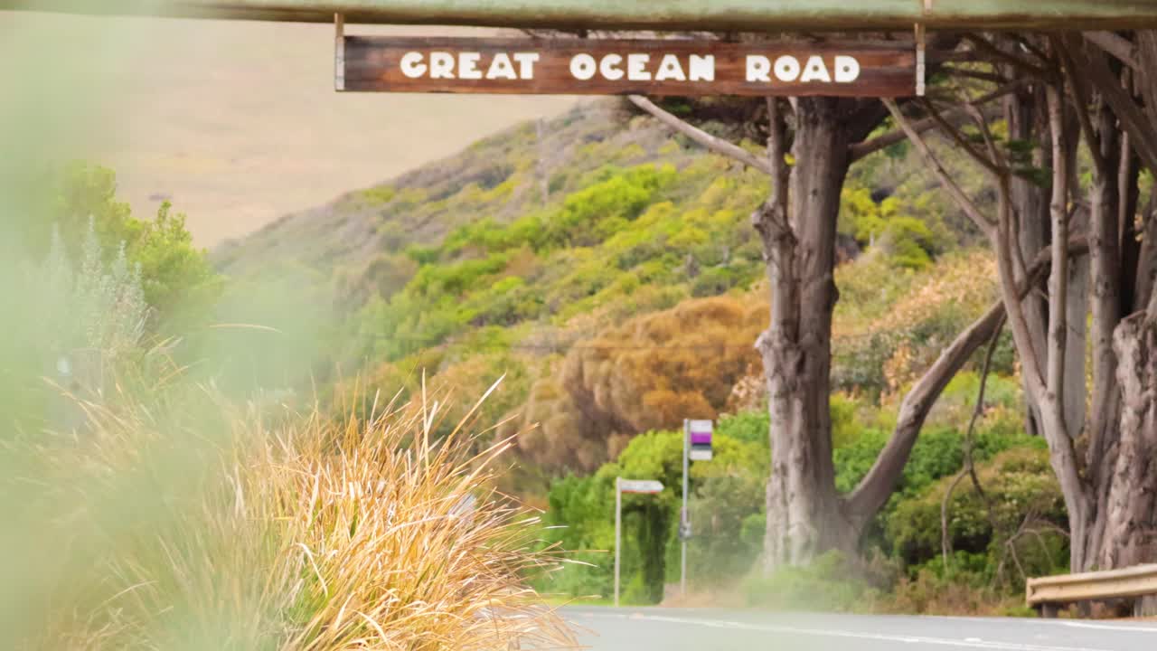부드러운 카메라 움직임과 자연 조명으로 포착 된 울창한 초록색 가운데 큰 바다 도로 표지판의 조용한 풍경